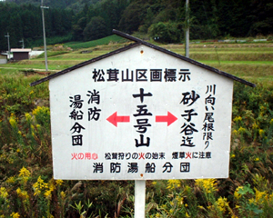 松茸山