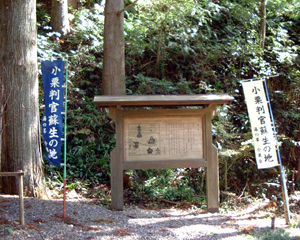 小栗判官?