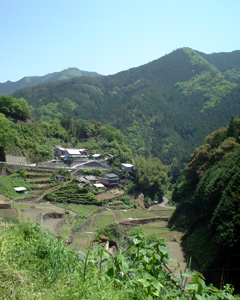 のどかな風景。きつい勾配