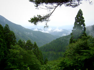 また山の上