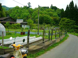 人気なし